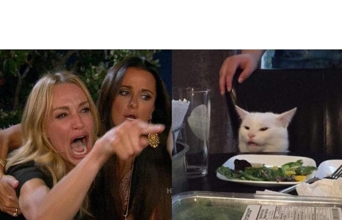 Mulher Brigando Com Gato