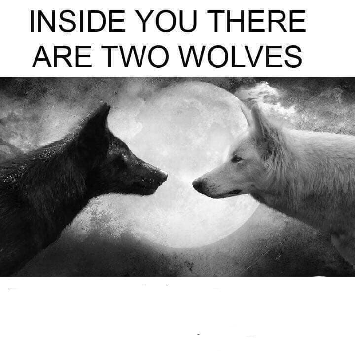 Dentro de Você Existem Dois Lobos