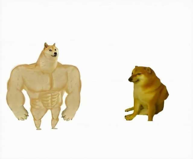 Cachorro Forte Vs Cachorro Fraco