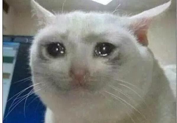 Gato Chorando