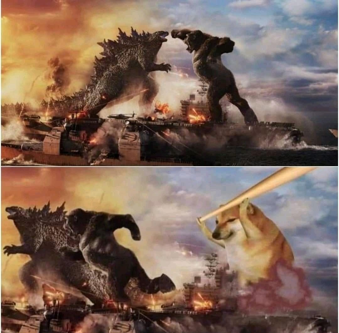 Kong, Godzilla e Doge