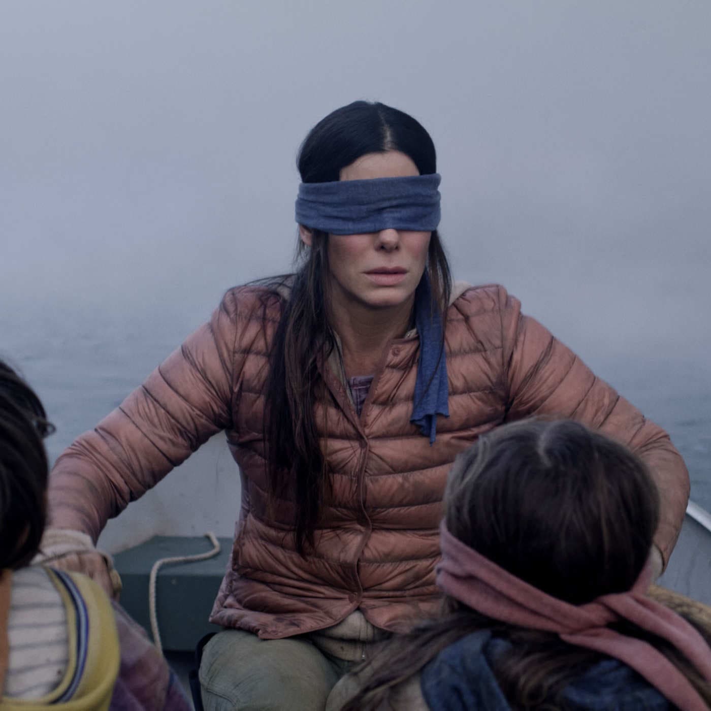 Bird Box - Vendada