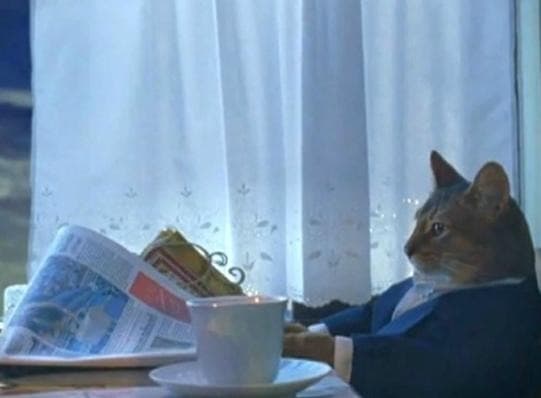 Gato Lendo Jornal