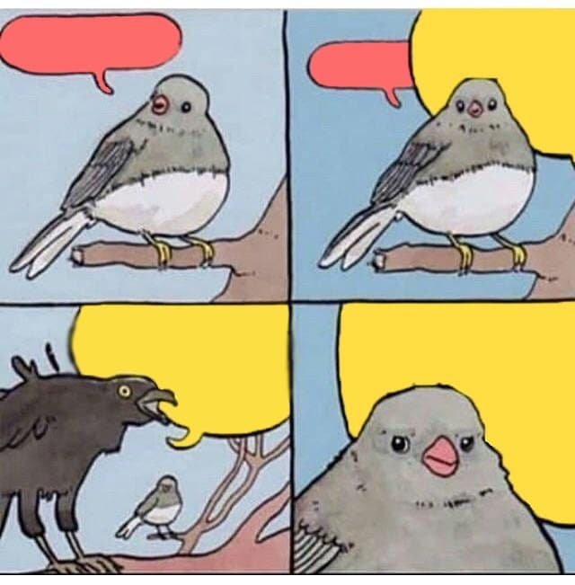 Pássaro Irritado