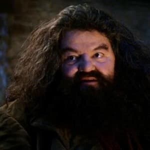 Você É Um Bruxo, Harry