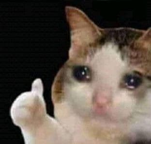 Gato Triste Com Joinha