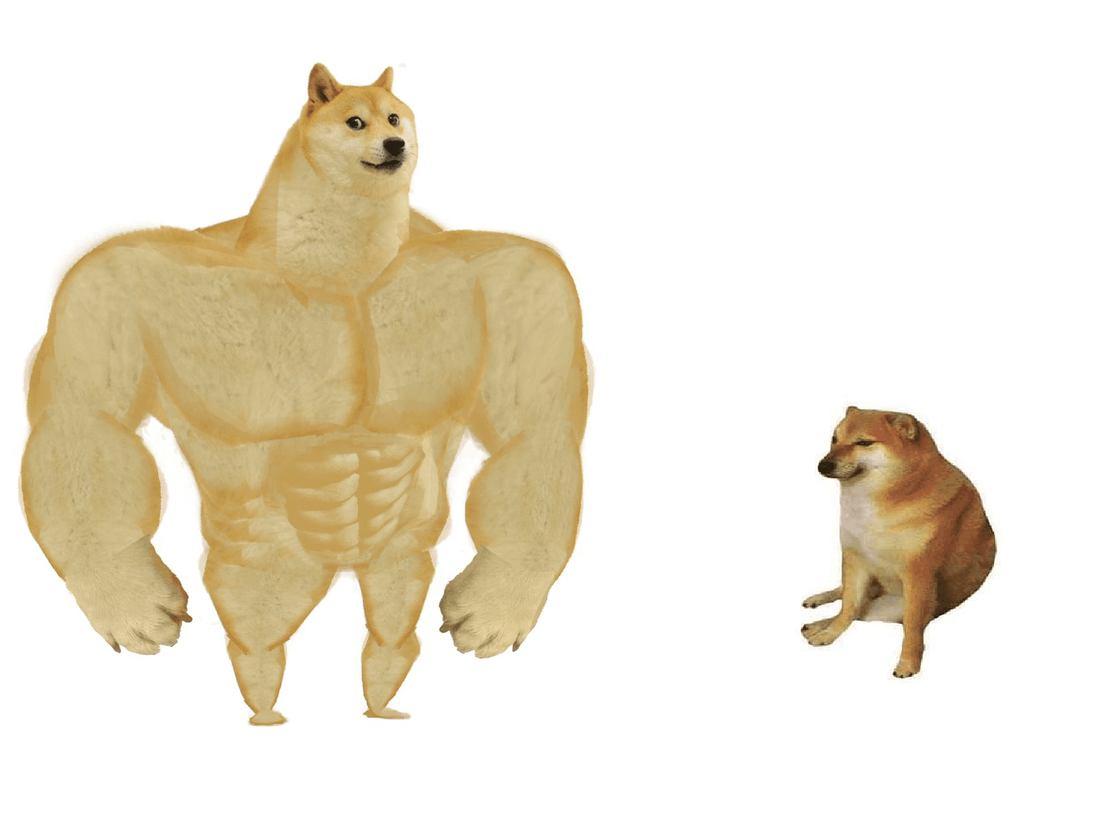 Cachorro Grande, Cachorro Pequeno